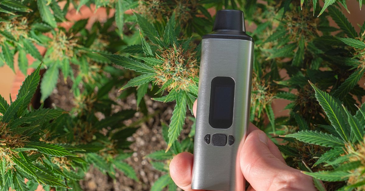 וופורייזר נייד PAX 3